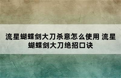 流星蝴蝶剑大刀杀意怎么使用 流星蝴蝶剑大刀绝招口诀